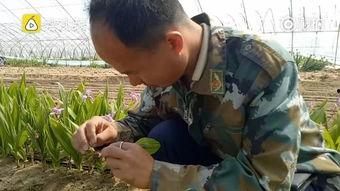 广西道士做法视频,传统道教仪式现场直播