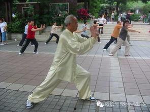 太极打视频,一招一式间探寻阴阳平衡之道