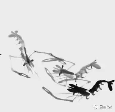怎样画虾视频